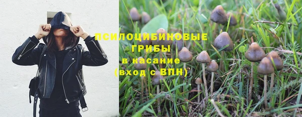 дживик Балахна